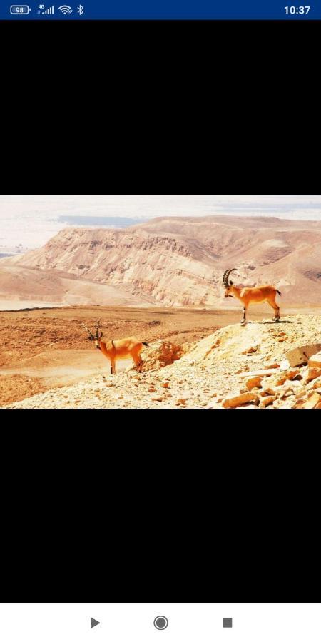 אלת המדברgoddess Of The Desert Be'er Ora Exterior photo
