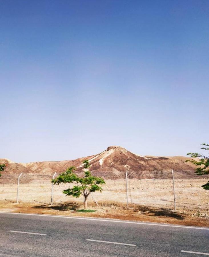 אלת המדברgoddess Of The Desert Be'er Ora Exterior photo