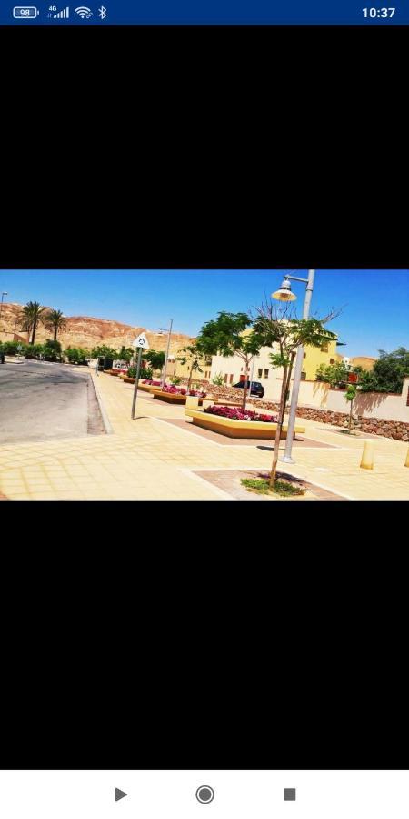 אלת המדברgoddess Of The Desert Be'er Ora Exterior photo